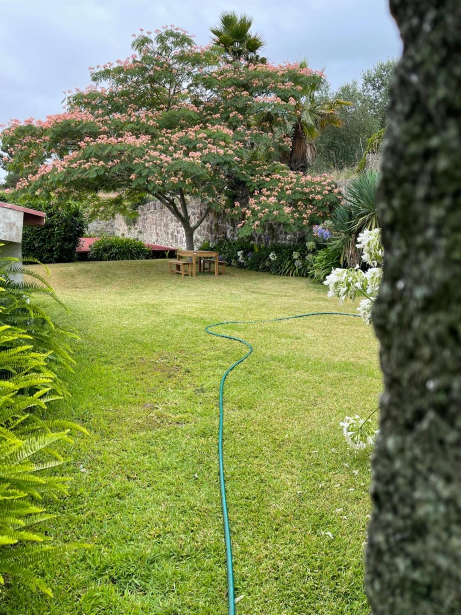 Quinta Da Fonte - Agroturismo Barroselas Exterior photo