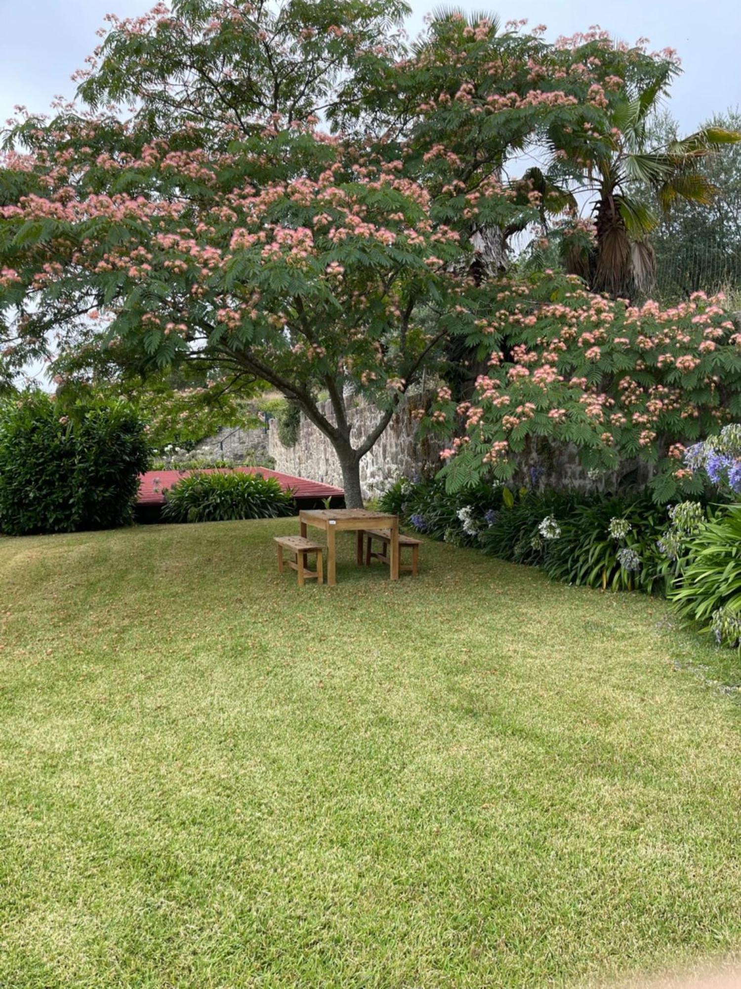 Quinta Da Fonte - Agroturismo Barroselas Room photo
